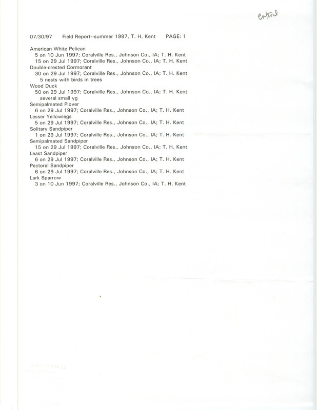 Summer report of birds found at Coralville Lake contributed by Thomas H. Kent. This item was used as supporting documentation for the Iowa Ornithologists' Union Quarterly field report of summer 1997.