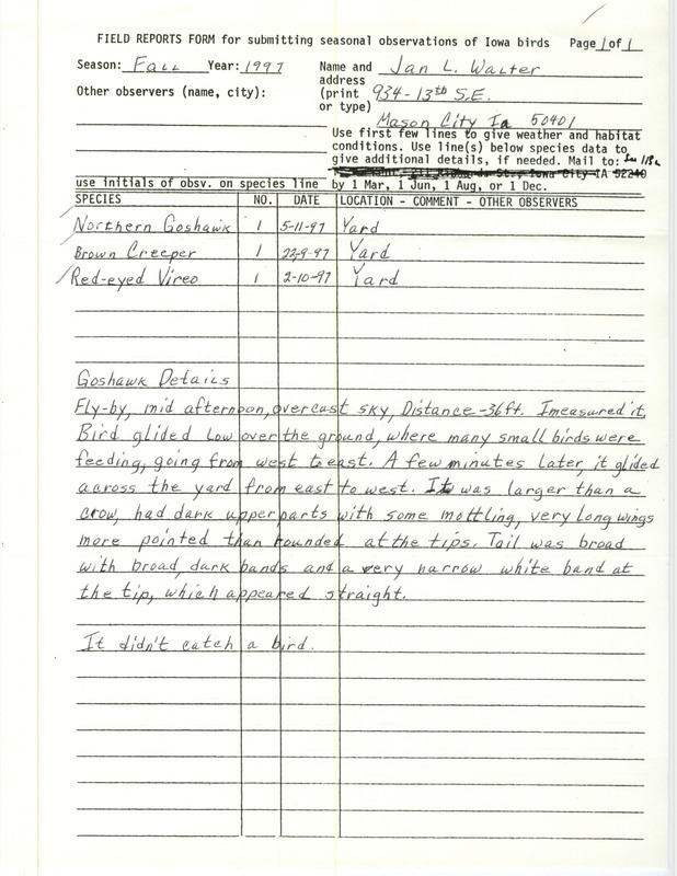 Fall report of birds found in Mason City contributed by Jan L. Walter. This item was used as supporting documentation for the Iowa Ornithologists' Union Quarterly field report of fall 1997.