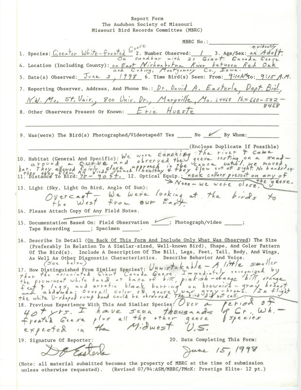 David Easterla documents the sighting of a Greater White-fronted Goose on June 3, 1998. This item was used as supporting documentation for the Iowa Ornithologists' Union Quarterly field report of summer 1998.