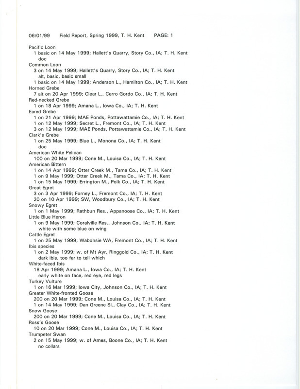 An annotated list of birds sighted by Thomas Kent. This item was used as supporting documentation for the Iowa Ornithologists' Union Quarterly field report of spring 1999.