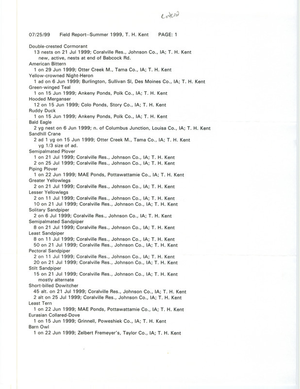 An annotated list of birds sighted by Thomas Kent dated July 25, 1999. This item was used as supporting documentation for the Iowa Ornithologists' Union Quarterly field report of summer 1999.