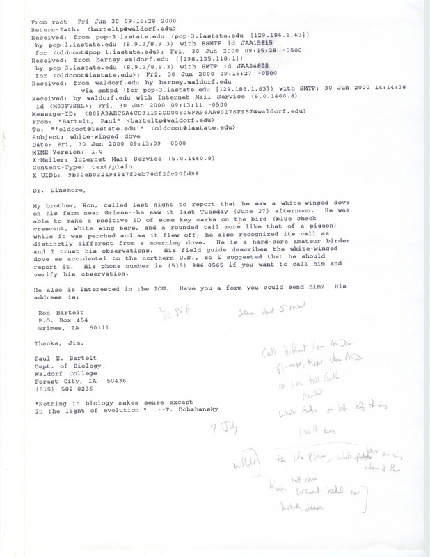 Email from Paul Bartelt to James J. Dinsmore regarding a White-winged Dove sighting, June 30, 2000. Bartelt describes the sighting of a Winged-winged Dove that was seen by his brother, Ron Bartlet, at his farm near Grimes. This item was used as supporting documentation for the Iowa Ornithologists' Union Quarterly field report of summer 2000.