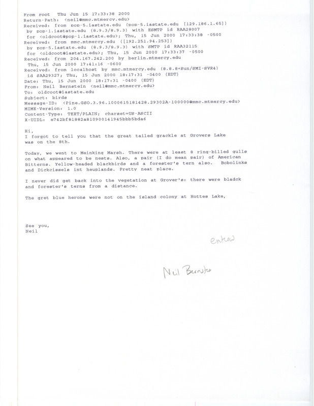 Email from Neil Bernstein to James J. Dinsmore regarding summer bird sightings, June 15, 2000. This item was used as supporting documentation for the Iowa Ornithologists' Union Quarterly field report of summer 2000.