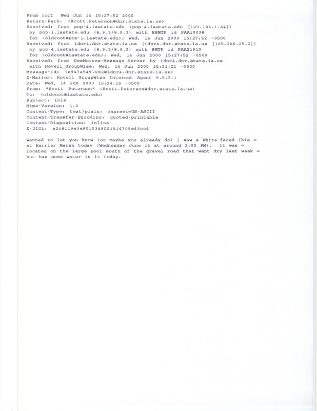 Email from Scott L. Peterson to James J. Dinsmore regarding a White-faced Ibis sighting, June 14, 2000. This item was used as supporting documentation for the Iowa Ornithologists' Union Quarterly field report of summer 2000.