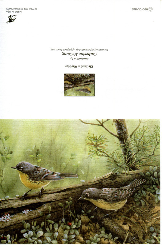 Field notes contributed by Paul Van Nieuwenhuyse in a letter to James J. Dinsmore reporting his sighting of an Upland Sandpiper north of De Witt. This item was used as supporting documentation for the Iowa Ornithologists' Union Quarterly field report of summer 2001.