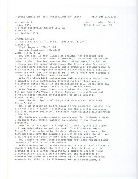 Records Committee review for an Iceland Gull at Red Rock Dam in Marion County, IA on April 6, 1996. Includes a record review document with votes, correspondence about bird sightings, and a documentation form submitted to the committee.