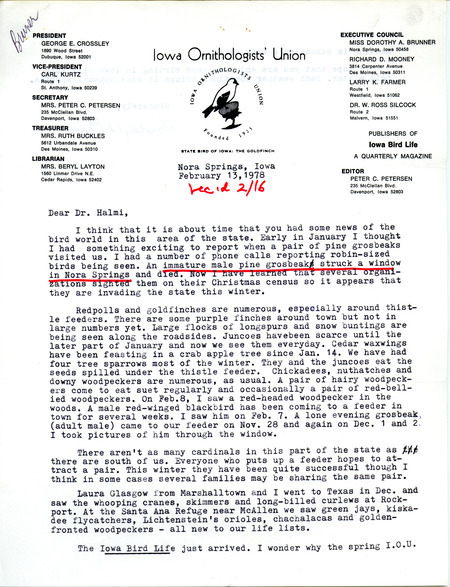 Letter from Dorothy A. Brunner to Nicholas S. Halmi regarding bird sightings, February 13, 1978. This item was used as supporting documentation for the Iowa Ornithologists Union Quarterly field report of winter, 1977-1978.