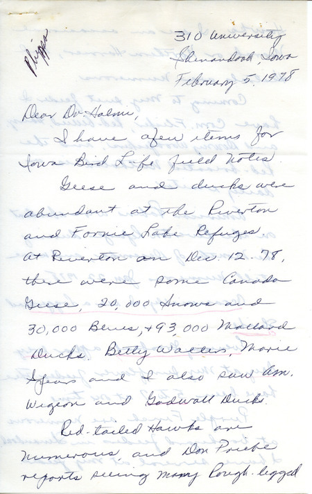 Letter from Ruth Phipps to Nicholas S. Halmi, regarding bird watching, February 5, 1978. Sightings of Loggerhead Shrikes, Evening Grosbeaks, Common Redpolls, and a Harlan's Hawk are noted. This item was used as supporting documentation for the Iowa Ornithologists Union Quarterly field report of winter, 1977-1978.