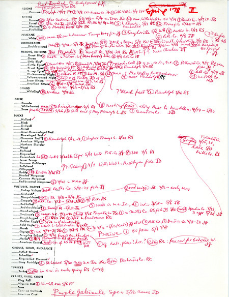 Bird sightings checklist, spring 1978. The document includes numerous annotations. This item was used as supporting documentation for the Iowa Ornithologists' Union Quarterly field report of spring 1978.