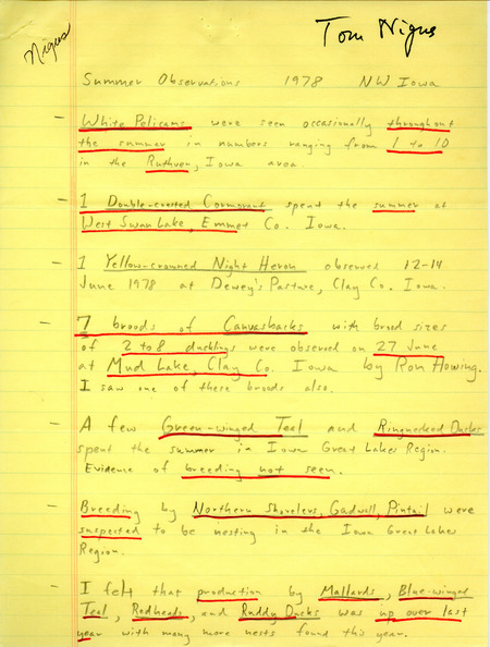 Field report titled "Summer observations, 1978, Northwest Iowa," submitted by Tom Nigus. This item was used as supporting documentation for the Iowa Ornithologists Union Quarterly field report of summer, 1978.
