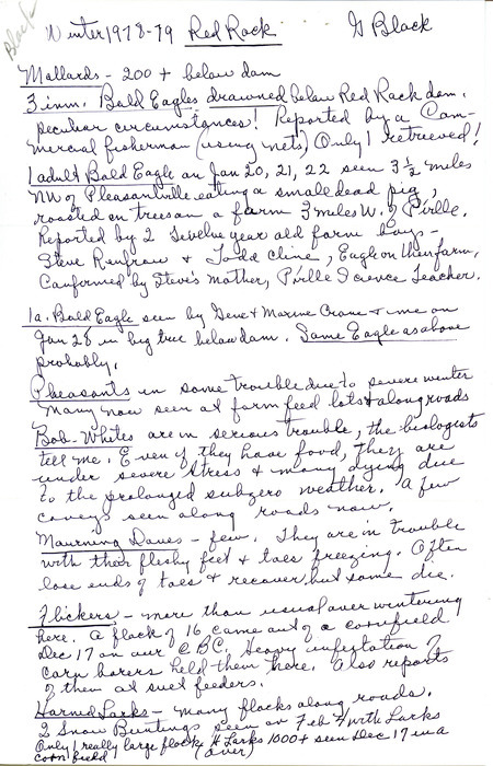Winter report of birds found at Red Rock as well as statewide bird sightings contributed by Gladys Black. This item was used as supporting documentation for the Iowa Ornithologists' Union Quarterly field report of winter 1978-1979.