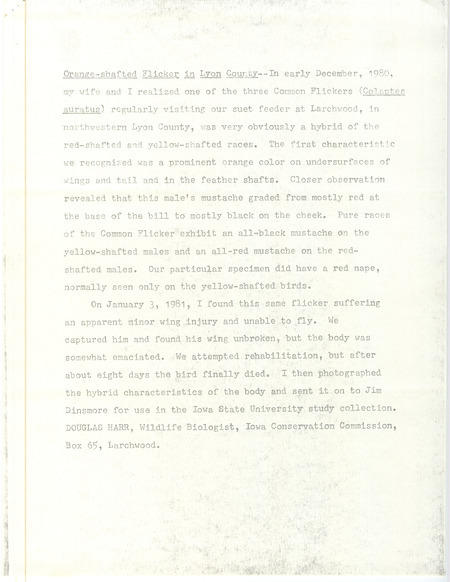 A detailed account from Douglas Harr about sighting and attempting to rehabilitate an injured Orange-shafted Flicker. This item was used as supporting documentation for the Iowa Ornithologists Union Quarterly field report of spring 1981.