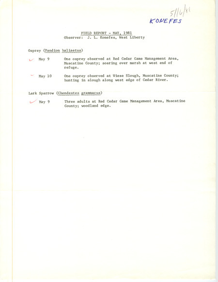 A list of birds sighted by J.L. Konefes in May. This item was used as supporting documentation for the Iowa Ornithologists Union Quarterly field report of spring 1981.