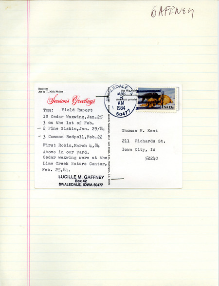 Lucille M. Gaffney postcard to Thomas H. Kent was regarding birds sighted, March 8, 1984. She reported Cedar Waxwings, Pine Siskins, Common Redpolls and a Robin in Swaledale, Iowa, and Cedar Waxwings at the Lime Creek Nature Center. This item was used as supporting documentation for the Iowa Ornithologists' Union Quarterly field report of winter 1983-1984.