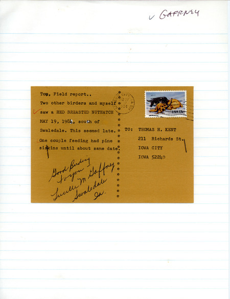 Lucille M. Gaffney postcard to Thomas H. Kent was regarding bird sightings in Swaledale, Iowa, May 19, 1984. She saw a Red-breasted Nuthatch and others saw Pine Siskins at a feeder, both at this late date. This item was used as supporting documentation for the Iowa Ornithologists' Union Quarterly field report of spring 1984.