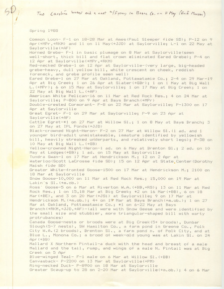 List of birds and locations contributed by Stephen J. Dinsmore with detailed descriptions. The field notes include bird sightings from several observers. This item was used as supporting documentation for the Iowa Ornithologists Union Quarterly field report of spring 1988.