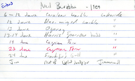 Summer report of birds found in northwest Iowa contributed by Neil Bernstein. This item was used as supporting documentation for the Iowa Ornithologists' Union Quarterly field report of summer 1989.
