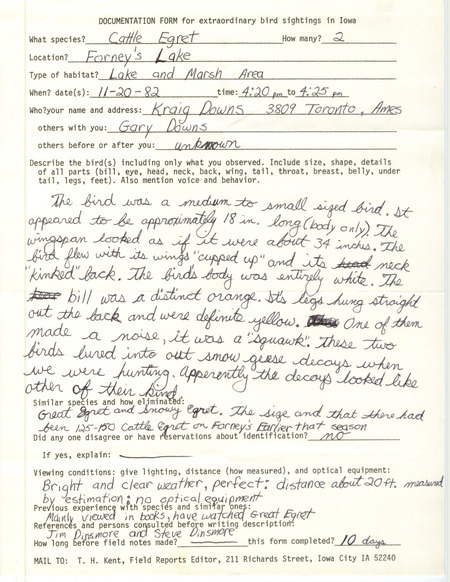 Rare bird documentation form for two Cattle Egrets at Forney's Lake at Fremont County, IA on November 20, 1982.