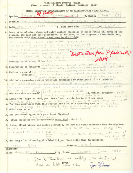 Rare bird documentation form for four White-faced Ibises at Churdan in Greene County, IA on April 21, 1978.
