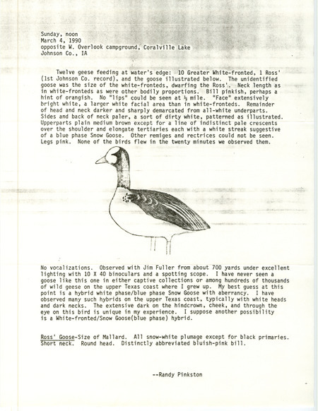 Rare bird documentation form for a Goose Species at West Overlook at Coralville Lake in Johnson County, IA on March 4, 1990.