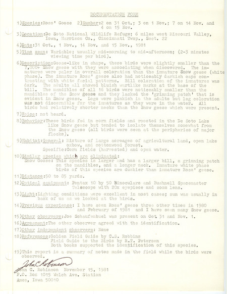 Rare bird documentation by John Robinson for varying numbers of Ross' Goose at DeSoto National Wildlife Refuge in Harrison County, IA on October 31, November 1, 14, and 15, 1981.