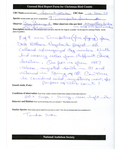 Rare bird sighting during the Spirit Lake Christmas Bird County for nine Trumpeter Swans at Spirit Lake in Dickinson County, IA on December 12, 1998.