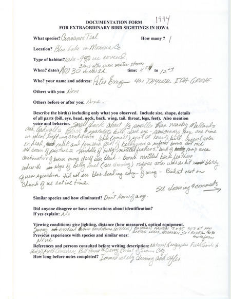 Rare bird documentation form for a Cinnamon Teal at Blue Lake in Monona County, IA on November 30, 1994.