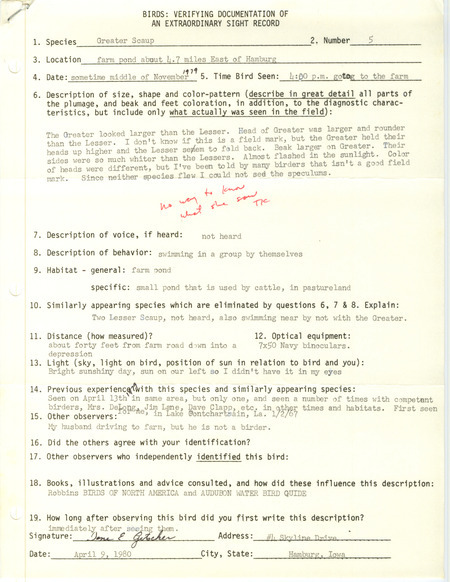 Rare bird documentation form for five Greater Scaups at Hamburg in Fremont County, IA during the middle of November 1979.