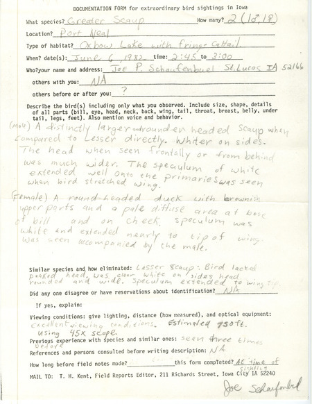 Rare bird documentation form for two Greater Scaups at Port Neal in Woodbury County, IA on June 6, 1982.