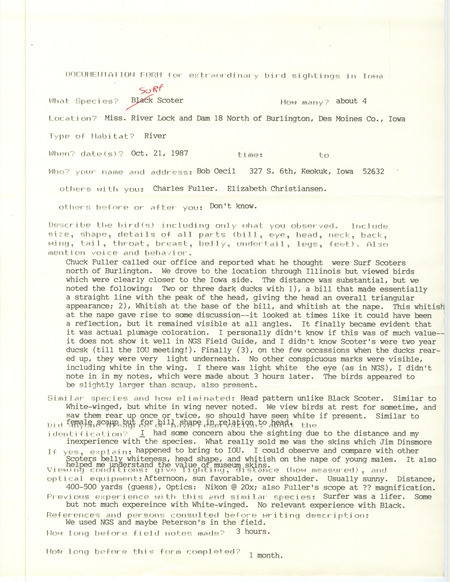 Rare bird documentation for four Surf Scoters at Lock and Dam 18 north of Burlington in Des Moines County, IA on October 21, 1987.