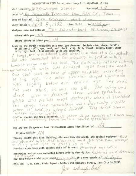 Rare bird documentation form for a White-winged Scoter at Saylorville Reservoir Dam in Polk County, IA on April 8, 1982.