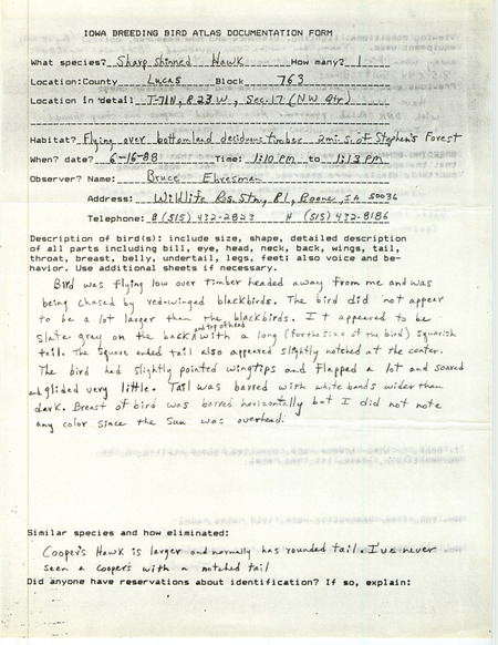 Rare bird documentation form for a Sharp-shinned Hawk at Lucas County, IA on June 16, 1988.