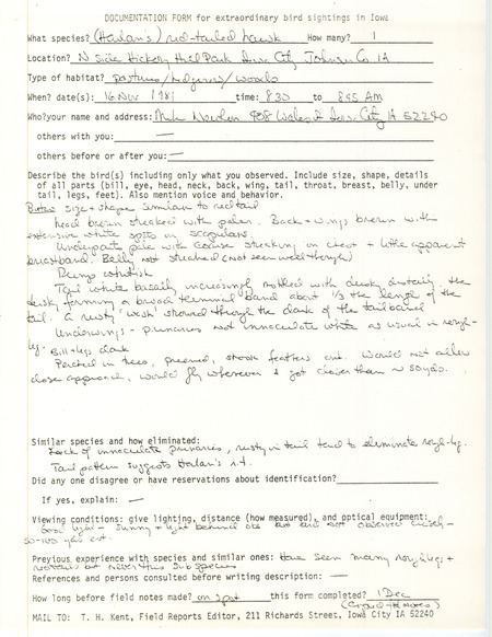 Rare bird documentation form for a Red-tailed Hawk at Hickory Hill Park in Iowa City in Johnson County, IA on November 16, 1981.