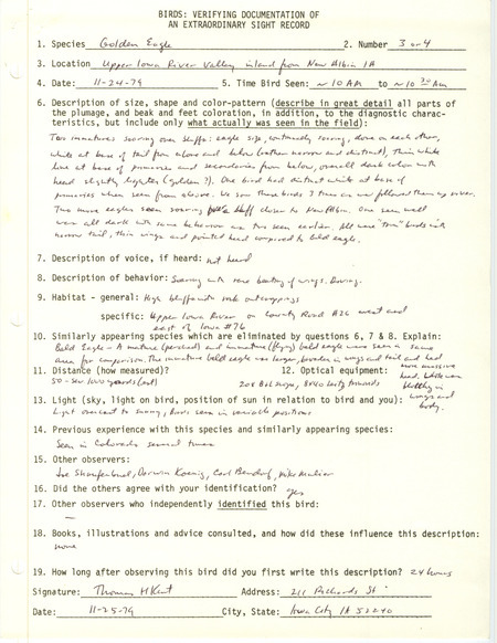 Rare bird documentation form for three or four Golden Eagles at New Albin in Allamakee County, IA on November 24, 1979.