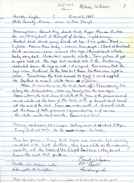 Rare bird documentation form for a Golden Eagle at Willow Slough in Mills County, IA on November 23, 1984.