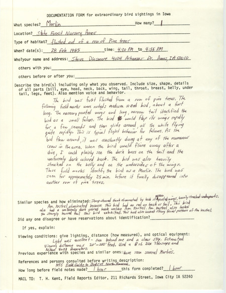 Rare bird documentation form for a Merlin at State Forest Nursery in Ames in Story County, IA on February 28, 1985.