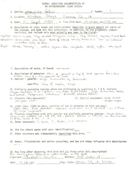 Rare bird documentation form for a Peregrine Falcon at Dunbar Slough in Greene County, IA on September 21, 1980.