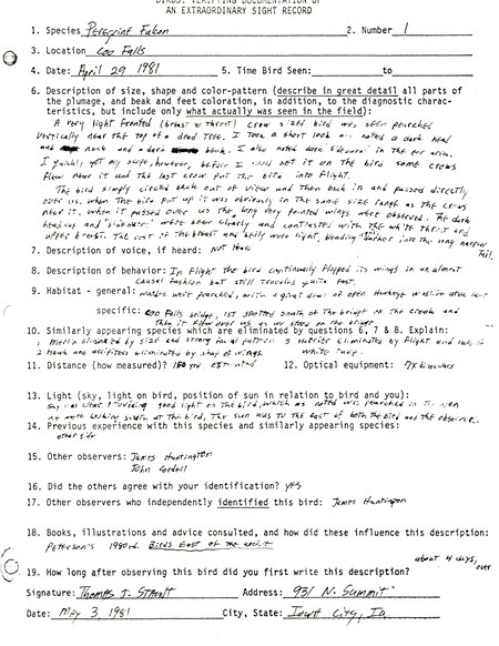 Rare bird documentation form for a Peregrine Falcon at Cou Falls in Johnson County, IA on April 29, 1981.