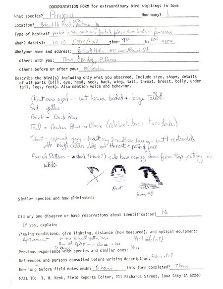 Rare bird documentation form for a Peregrine Falcon at Babcock Access in Johnson County, IA on October 10, 1982.