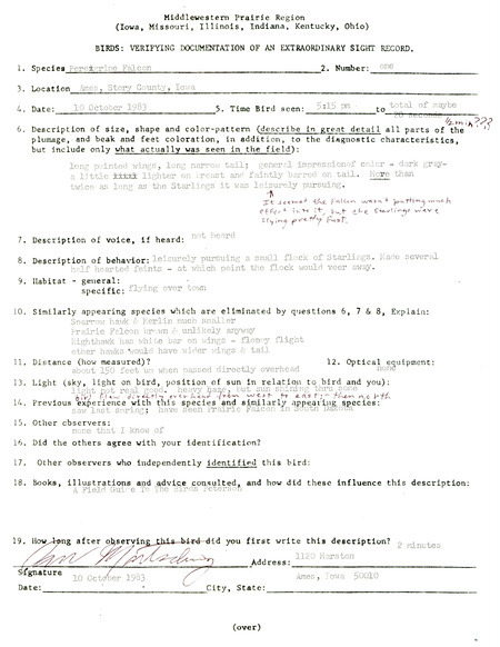 Rare bird documentation form for a Peregrine Falcon at Ames in Story County, IA on October 10, 1983.
