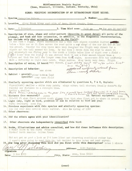 Rare bird documentation form for a Peregrine Falcon along the Skunk River in Ames in Story County, IA on November 6, 1983.