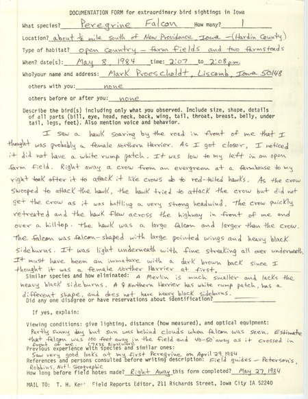 Rare bird documentation form for a Peregrine Falcon south of New Providence in Hardin County, IA on May 8, 1984.