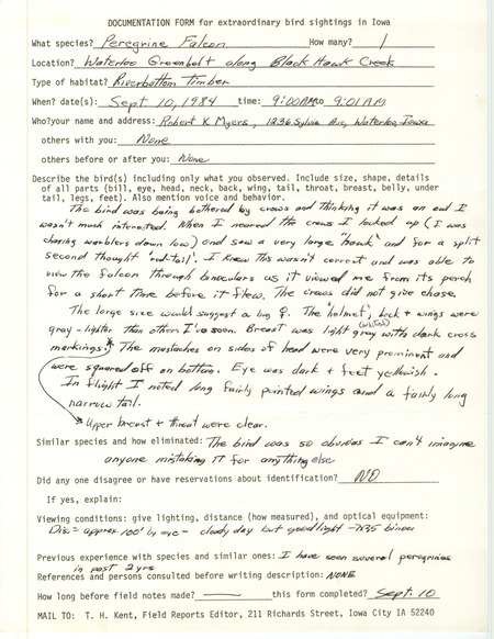 Rare bird documentation form for a Peregrine Falcon at Waterloo Greenbelt at Black Hawk County, IA on September 10, 1984.