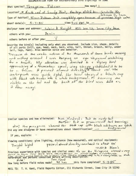 Rare bird documentation form for a Peregrine Falcon at Sand Point in Hawkeye Wildlife Area in Johnson County, IA on May 7, 1985.