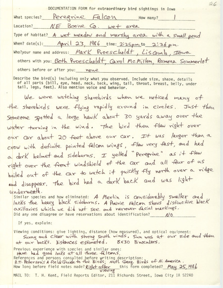 Rare bird documentation form for a Peregrine Falcon in northeast Boone County, IA on April 23, 1986.