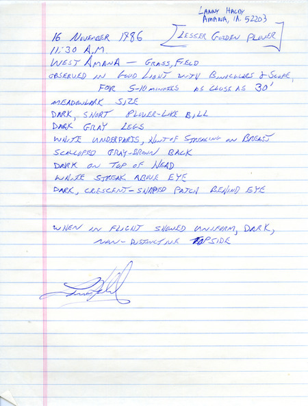Rare bird documentation form for an American Golden-Plover at West Amana in Iowa County, IA on November 16, 1986.