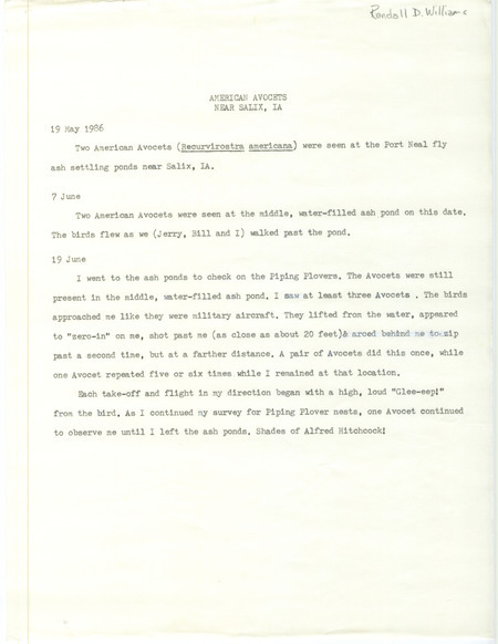 Field notes for two American Avocets near New Lake near Salix, IA on May 19, June 7, and June 19, 1986.