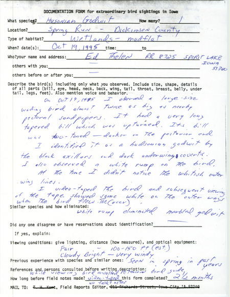 Rare bird documentation form for a Hudsonian Godwit at Spring Run in Dickinson County, IA on October 19, 1995. Letter from Ed Thelen to Tom Kent about a video of the sighting on unknown date.