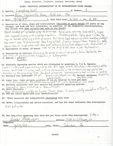 Rare bird documentation form for a Laughing Gull at Saylorville Dam in Polk County, IA on April 16, 1999.