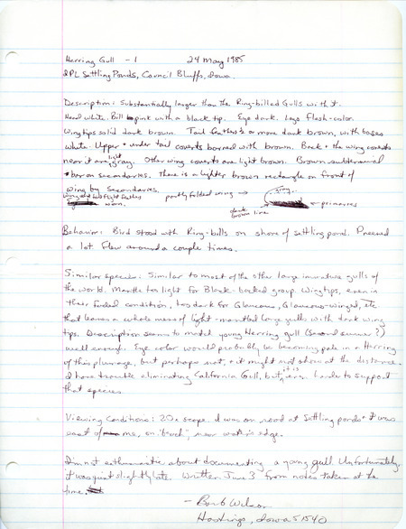 Rare bird documentation form for a Herring Gull at MidAmerican Energy Ponds near Council Bluffs in Pottawattamie County, IA on May 24, 1985.